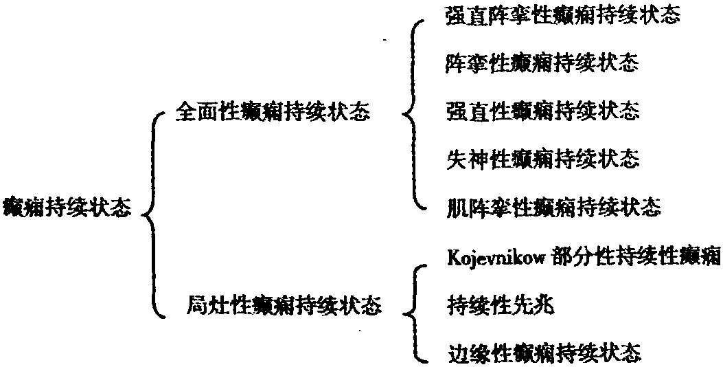 第二十六節(jié) 難治性癲癇狀態(tài)